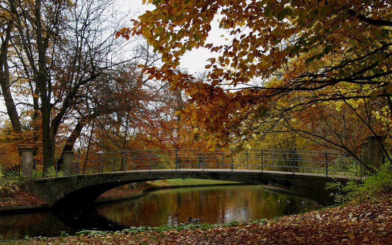 Bridge over Canal — Brown