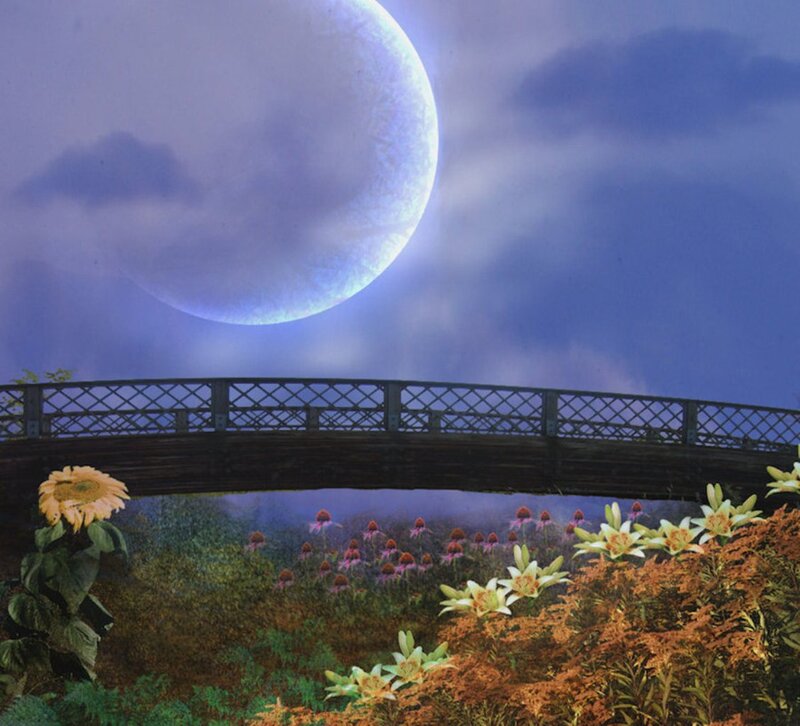 Bridge over Flower Field