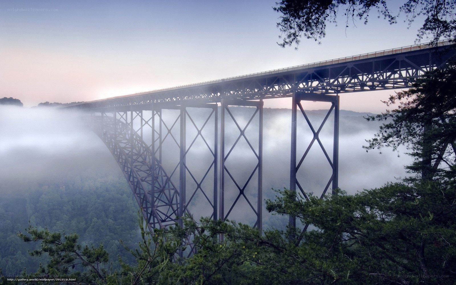 Bridge over foggy canyon