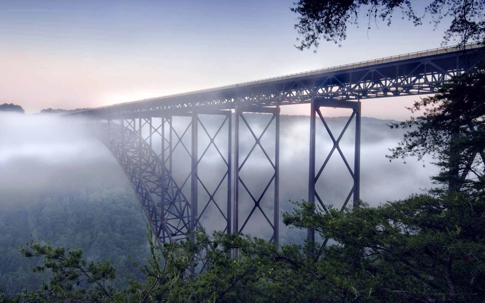 Bridge over foggy valley