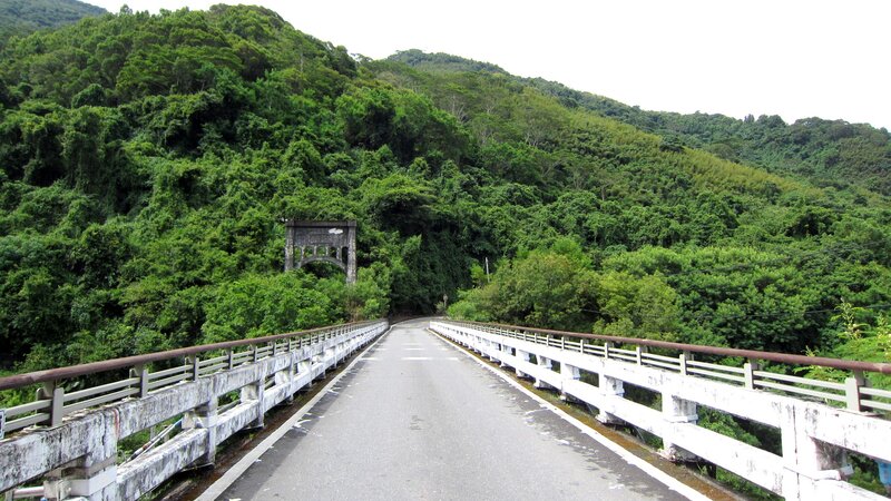 Bridge over Forested Valley — Green, Serene