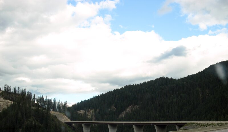 Bridge over Forested Valley — Green
