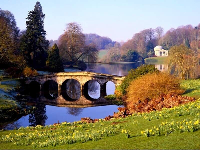 Bridge over lake in park