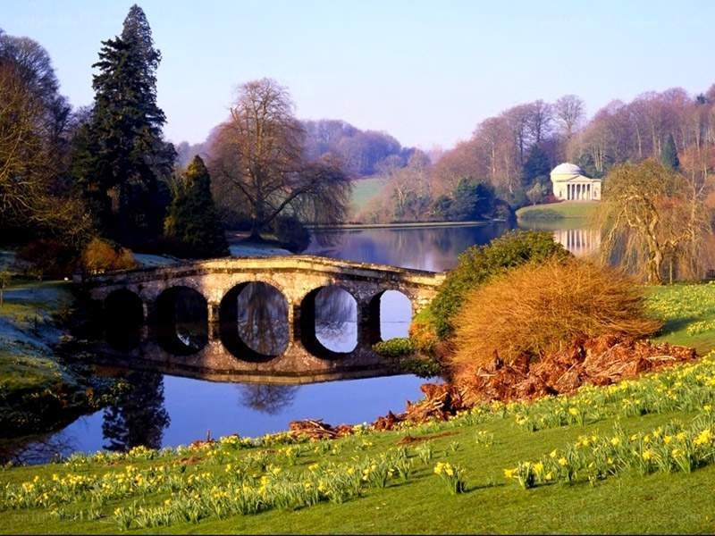 Bridge over lake in park