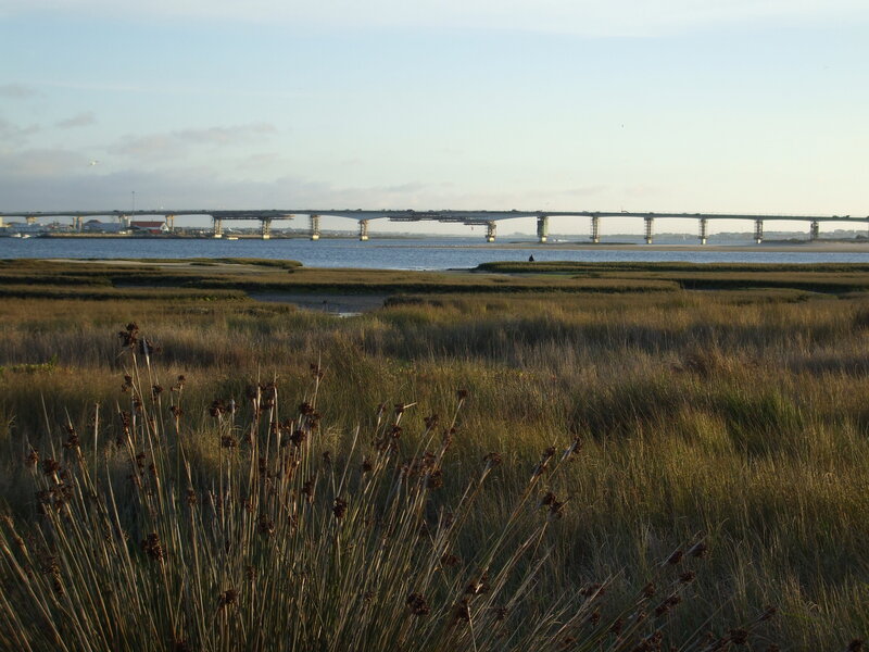 Bridge over marshland at dusk