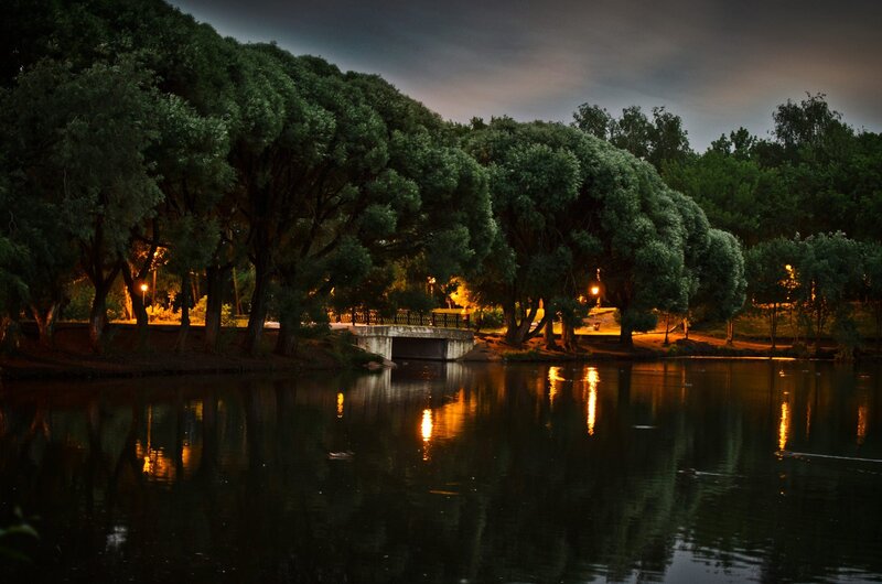Bridge over Pond at Night — Green