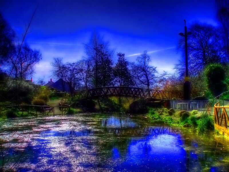 Bridge over Pond at Night