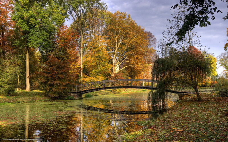 Bridge over Pond in Autumn — Green
