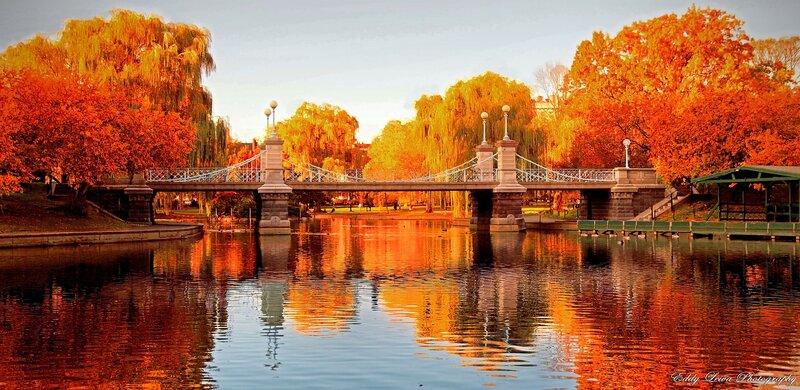 Bridge over Pond in Autumn — Orange
