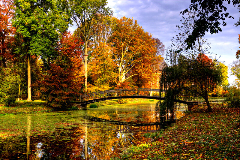 Bridge over Pond in Autumn