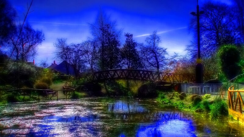 Bridge over Pond in Park — Blue