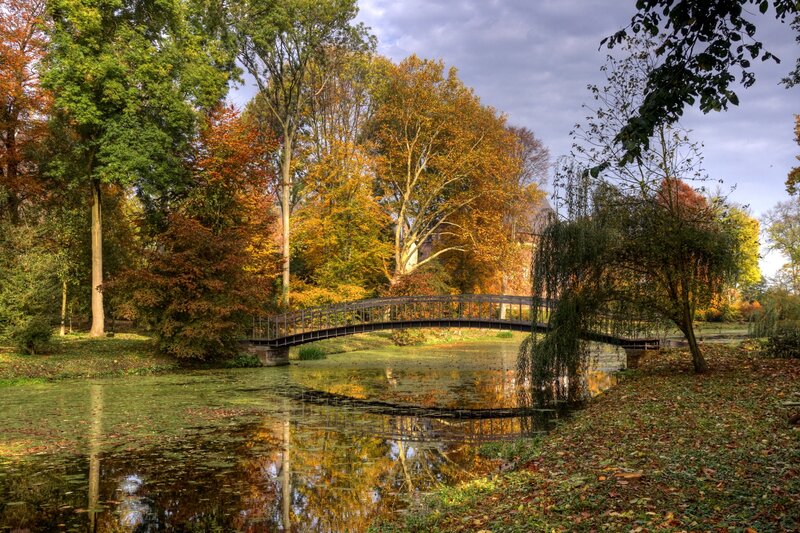 Bridge over Pond in Park — Green, Serene, Autumn