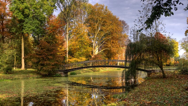 Bridge over Pond in Park — Green