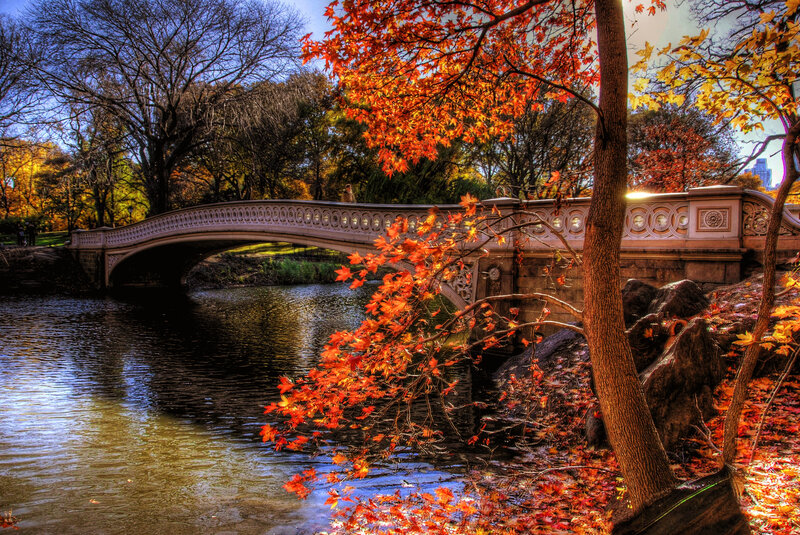 Bridge over Pond in Park — Orange