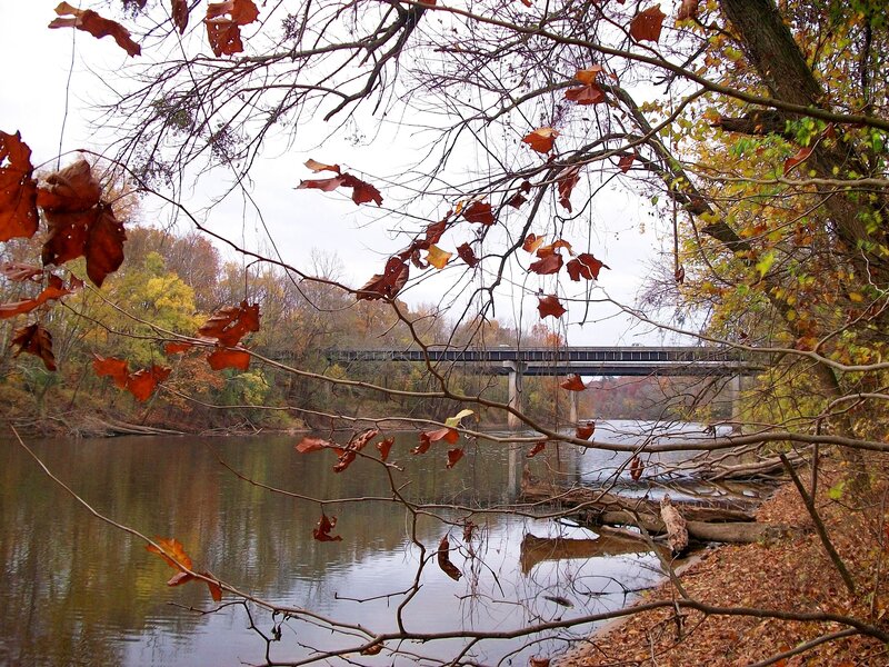 Bridge over River — Brown