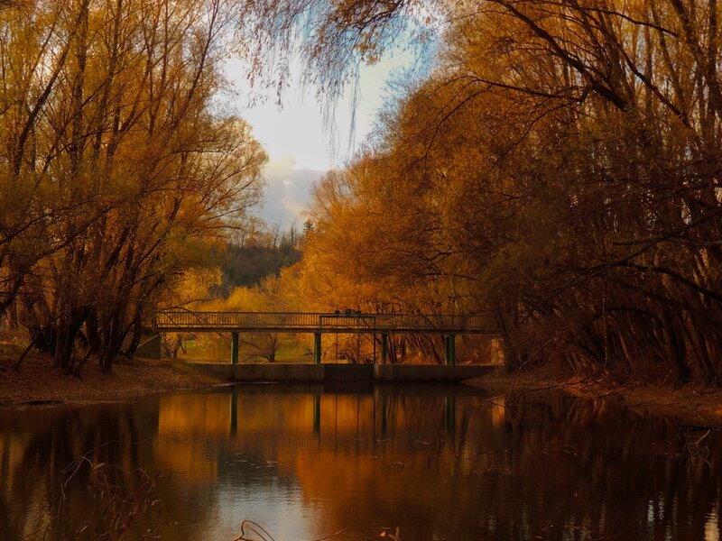 Bridge over River — Gold