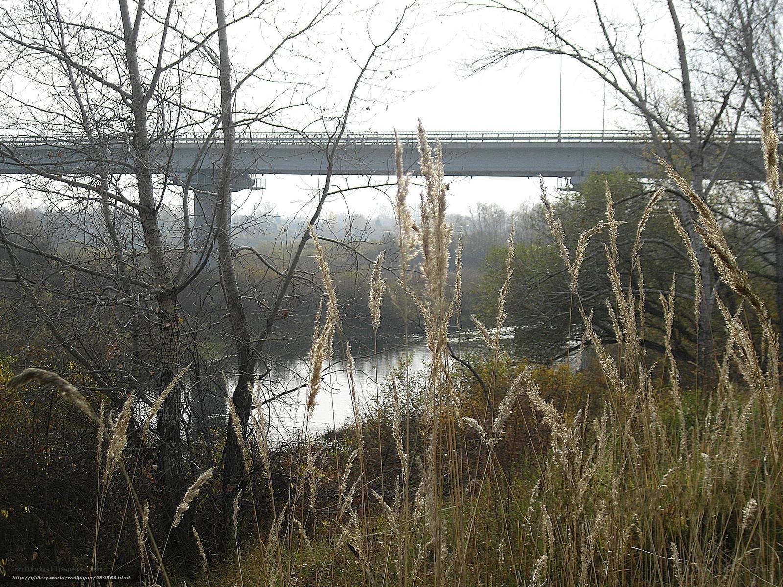 Bridge over river in autumn