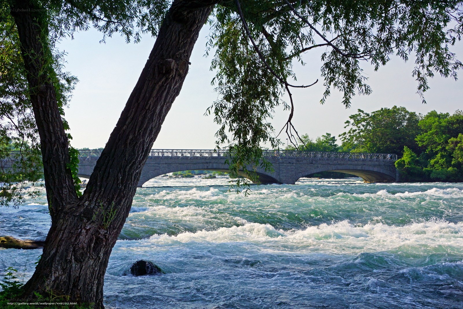 Bridge over rushing river