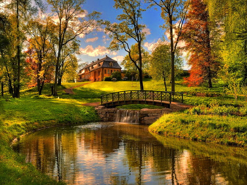 Bridge over Stream in Park