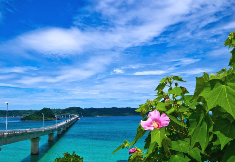 Bridge over Turquoise Water — Blue