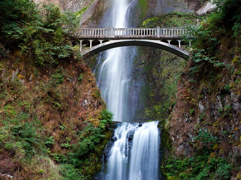Bridge over Waterfall — Green, Serene, Afternoon