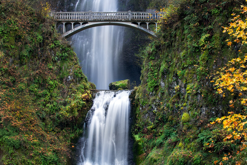 Bridge over Waterfall — Green, Serene, Autumn