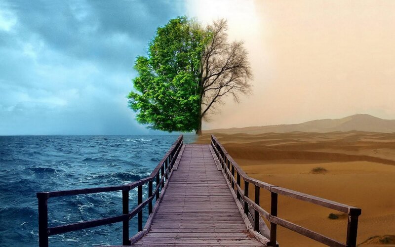 Bridge to a split tree
