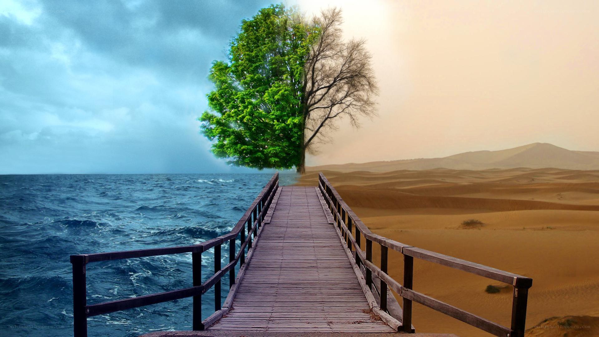 Bridge to a surreal tree