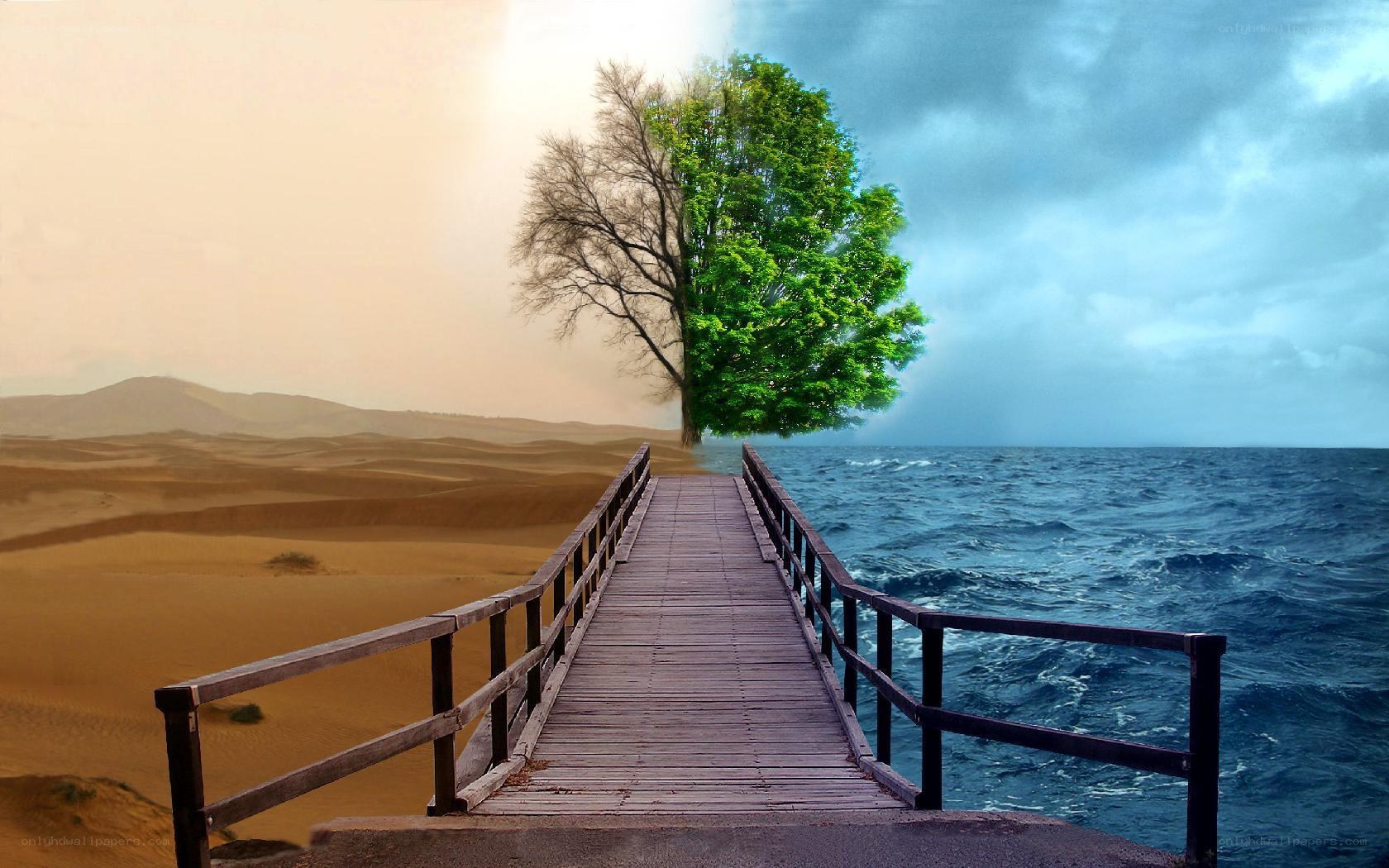 Bridge to a surreal tree