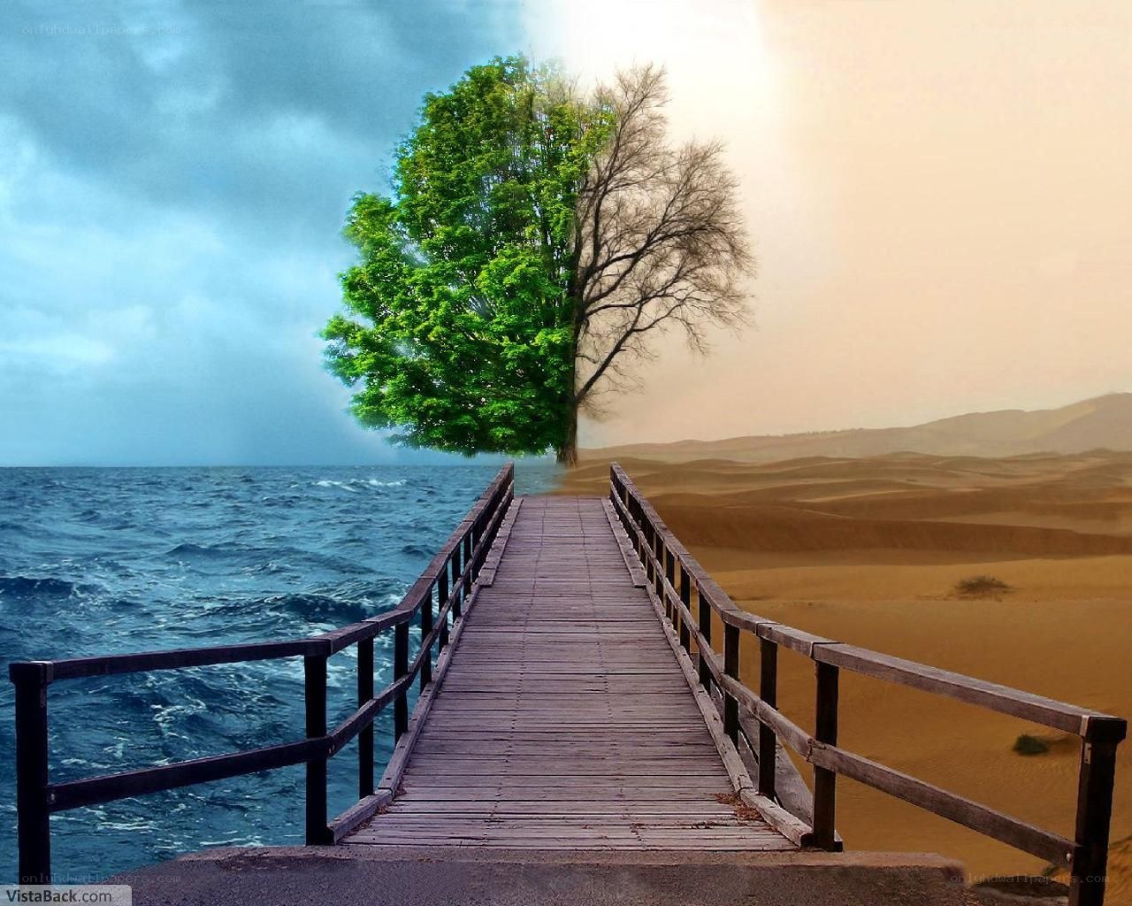 Bridge to a surreal tree