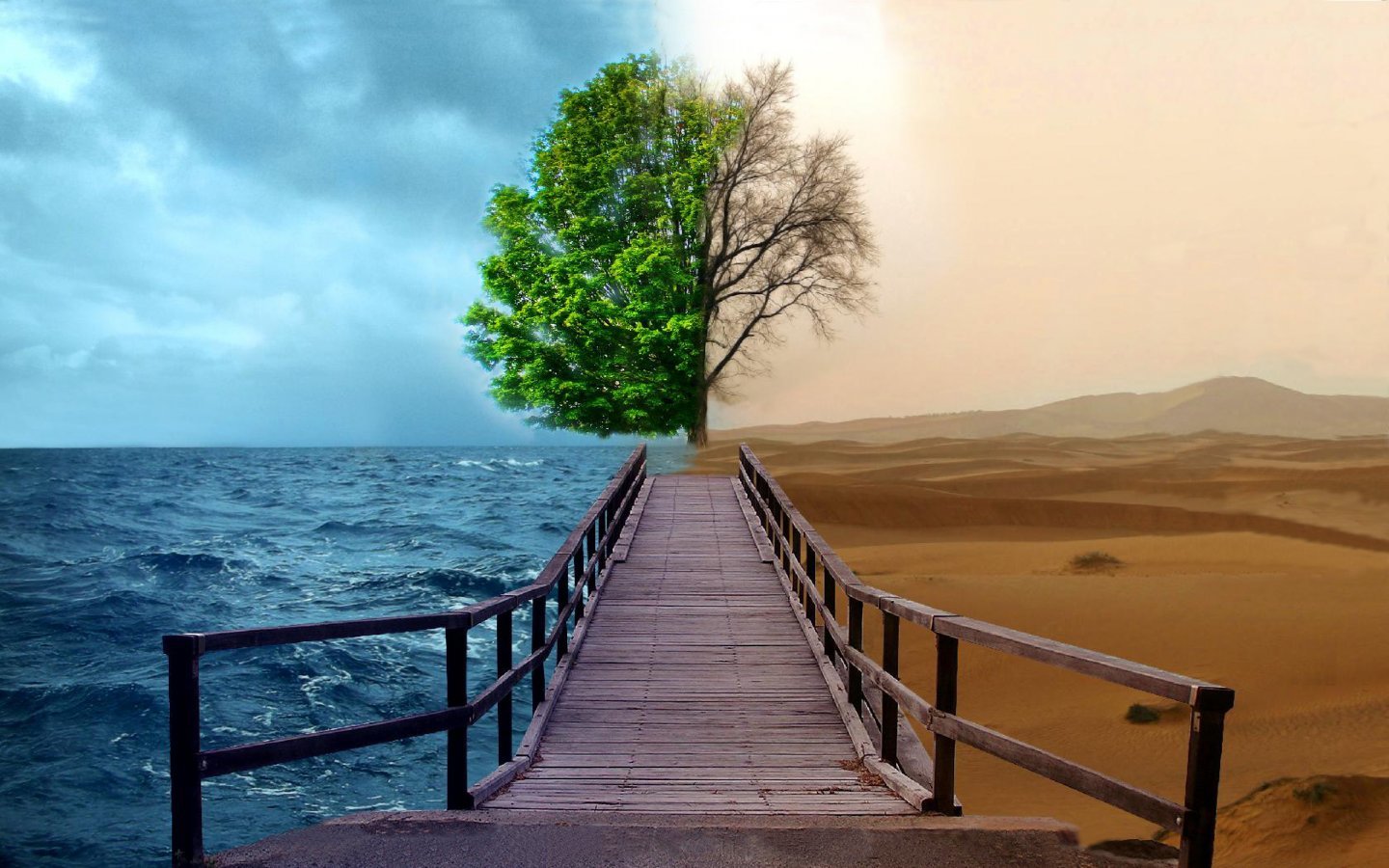 Bridge to a surreal tree