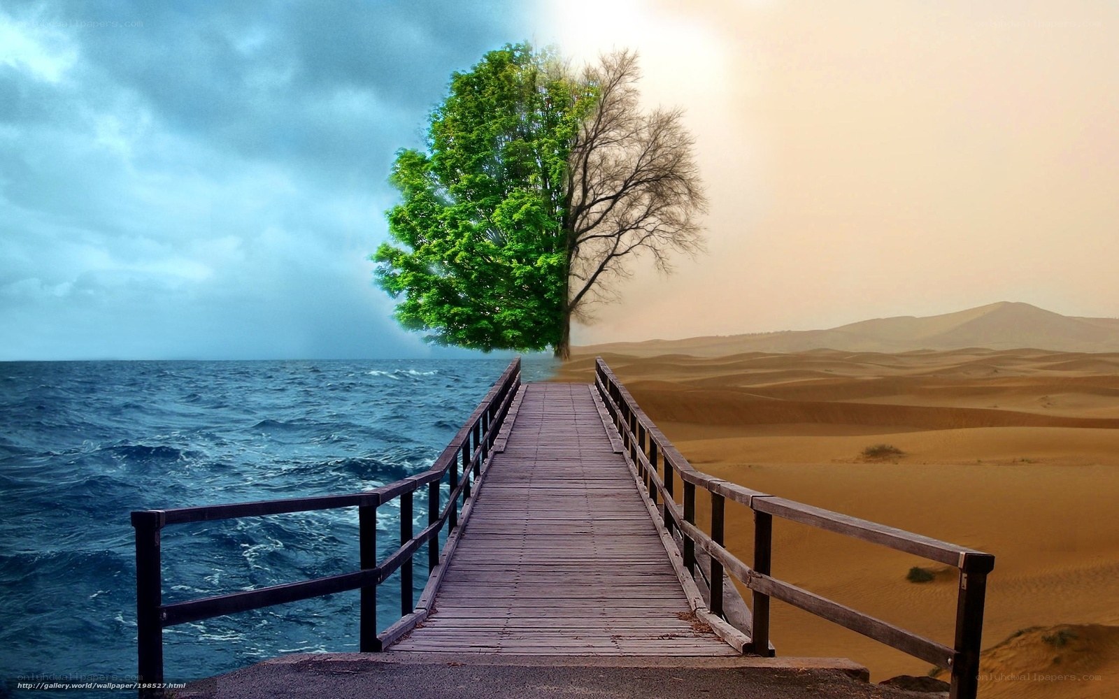 Bridge to a surreal tree