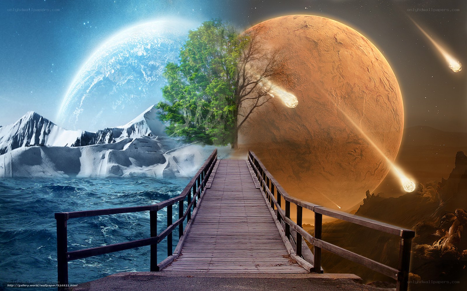 Bridge to another world