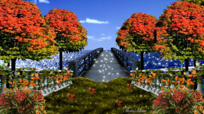 Bridge to Ocean