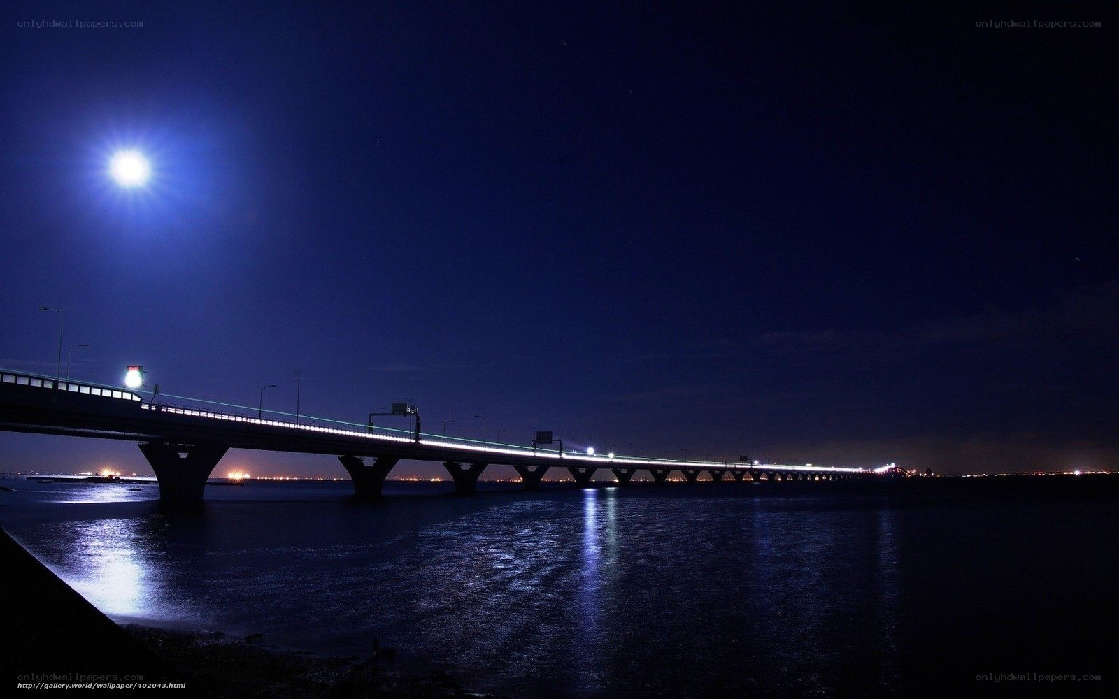 Bridge under moonlight at night