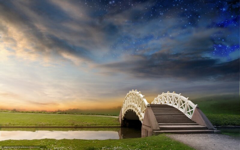 Bridge under starry sky