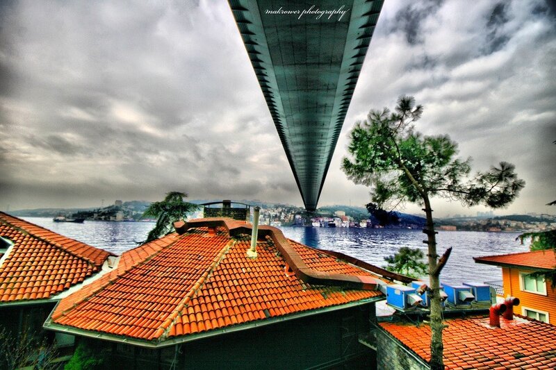 Bridge view from rooftops