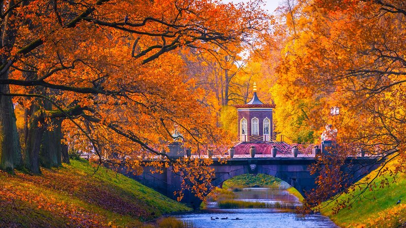 Bridge with Autumn Trees