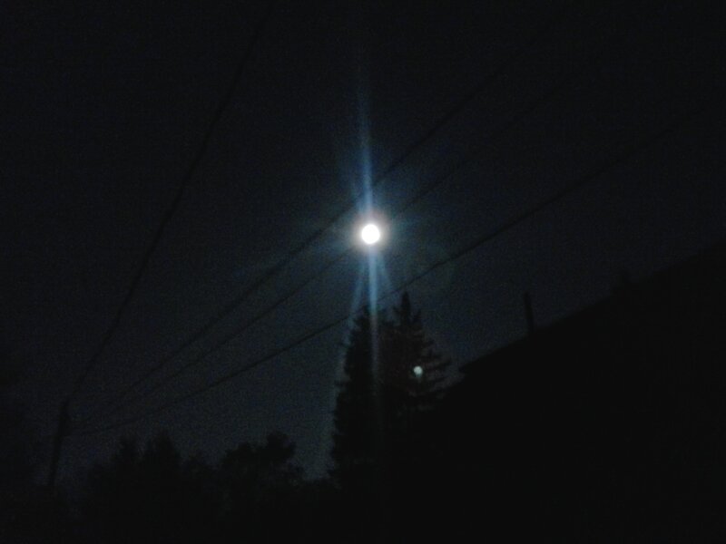 Bright Moon at Night