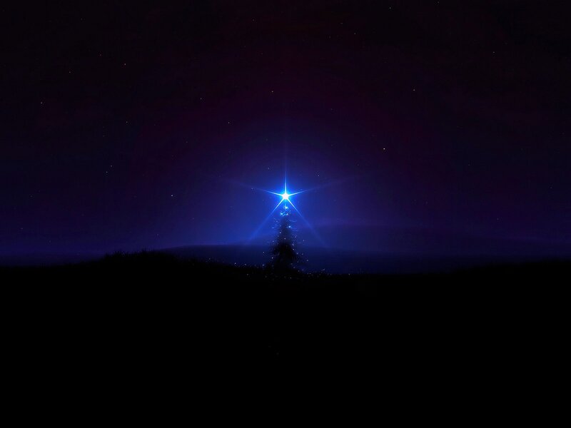 Bright Star on Tree