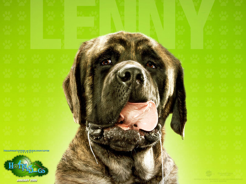 Brindle Mastiff Dog — Green