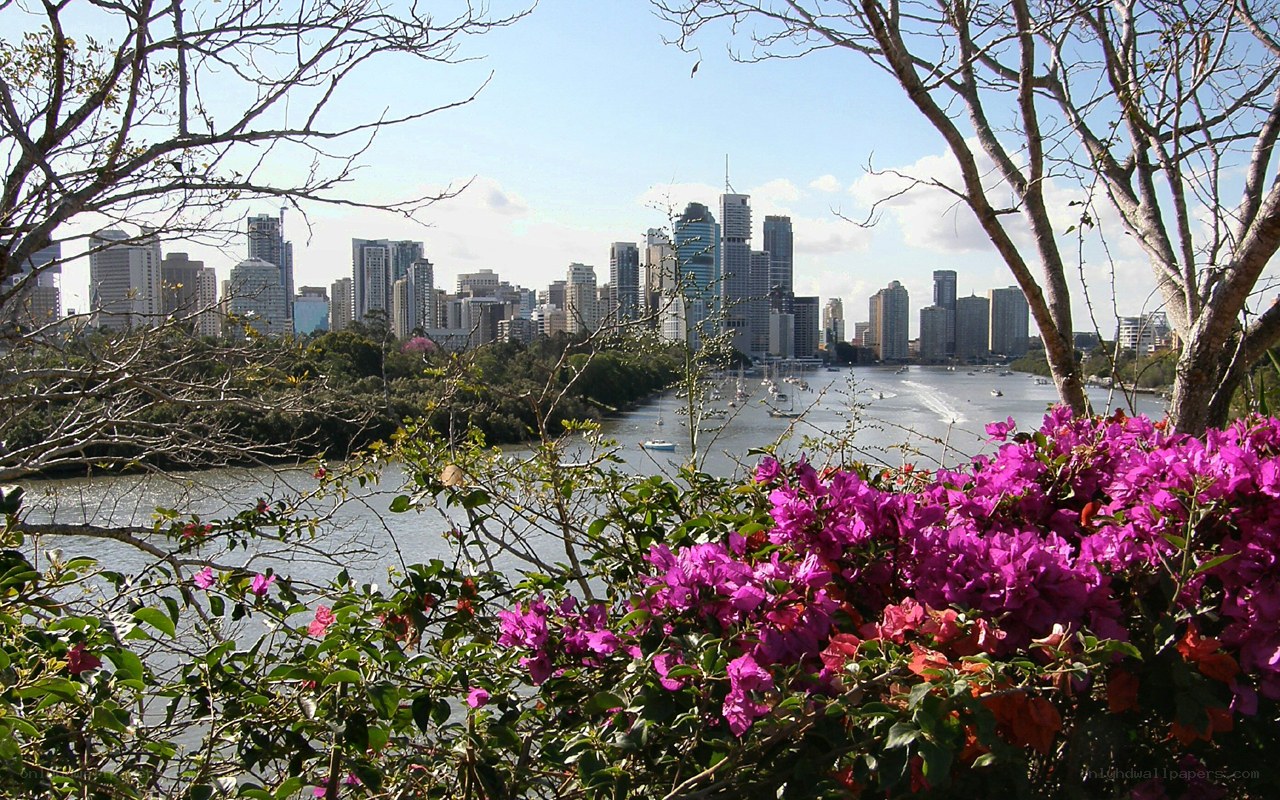 Brisbane city skyline view
