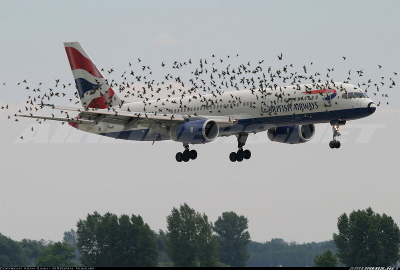 British Airways Plane