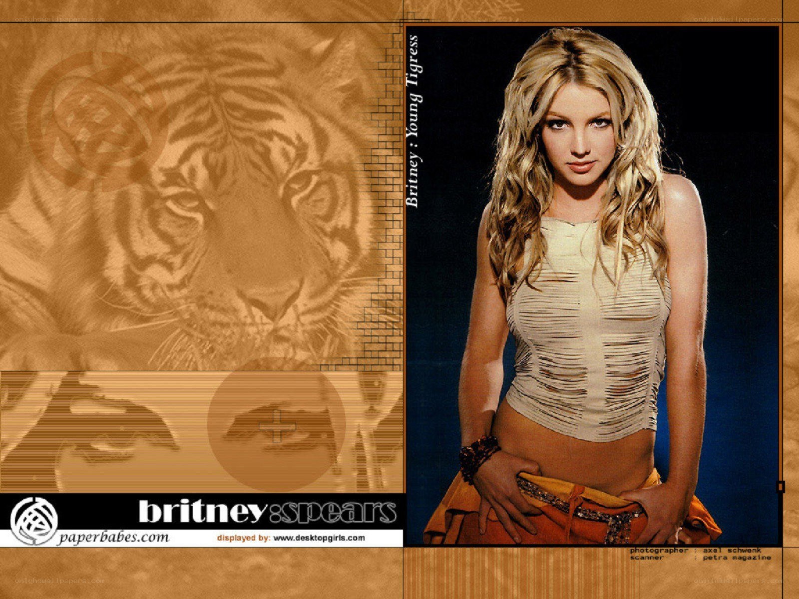 Britney Spears tiger-themed wallpaper