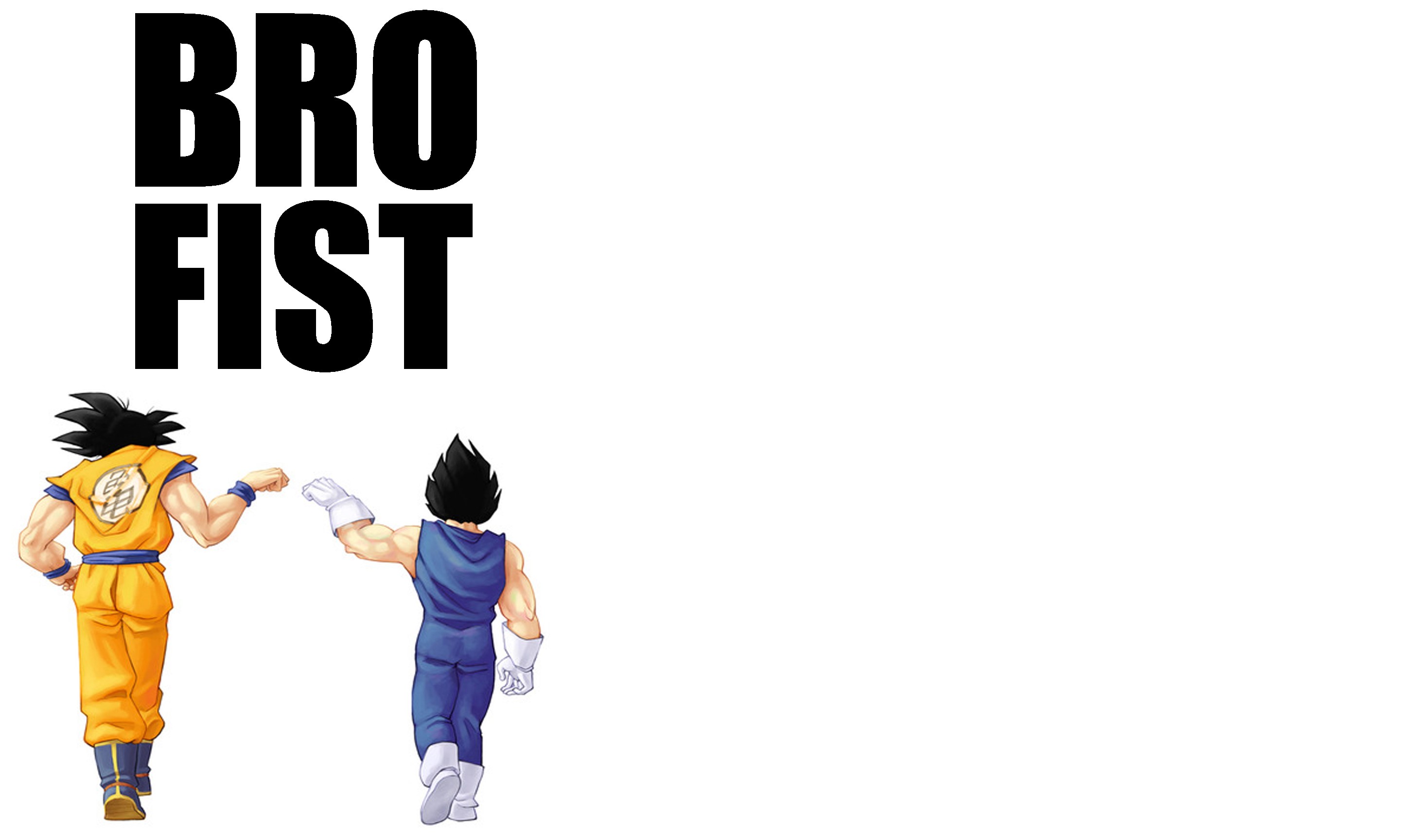 Bro Fist artwork