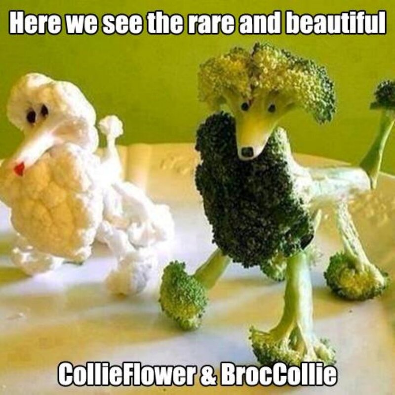 Broccoli and Cauliflower Dogs