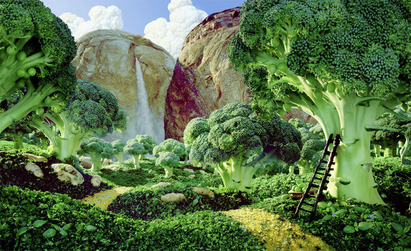 Broccoli landscape fantasy
