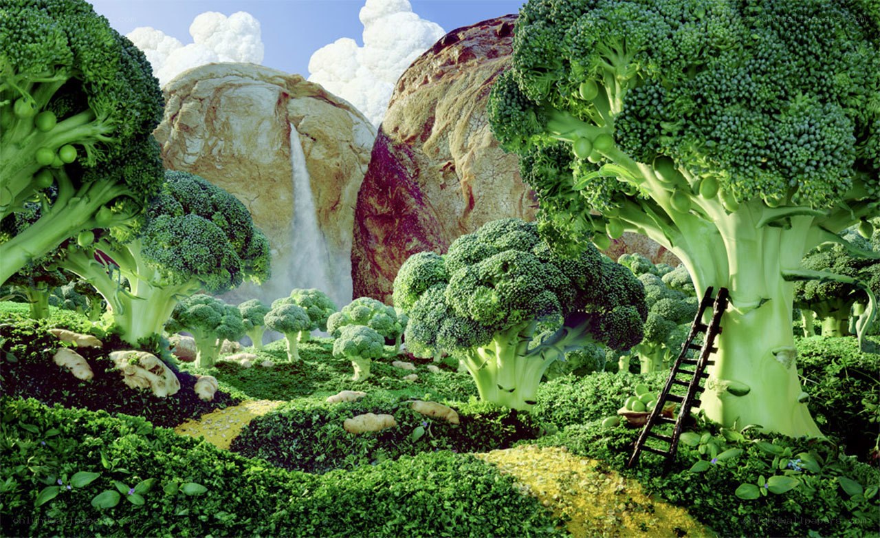 Broccoli landscape fantasy