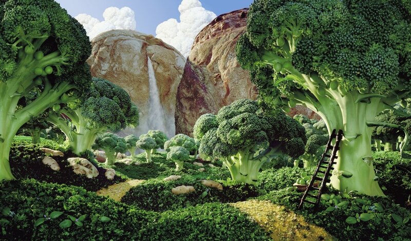 Broccoli landscape with waterfall