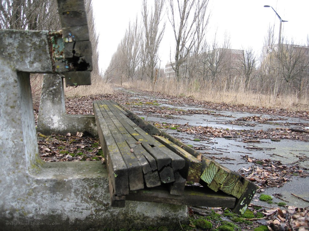 Broken bench in overgrown park